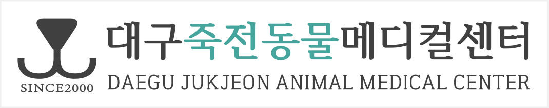 배너이미지